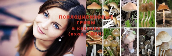 гидра Ладушкин