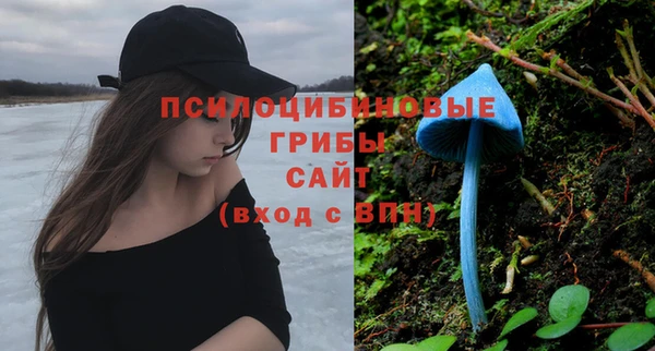 герыч Лагань