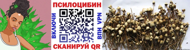 hydra Орёл Псилоцибиновые грибы GOLDEN TEACHER